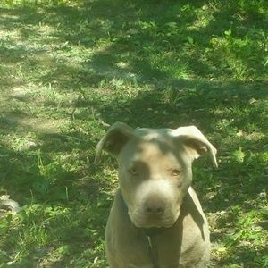 Meet your Posher, Curtis